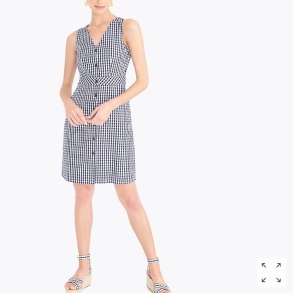 J. Crew Navy and White Gingham Dress